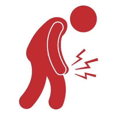 Link to: /pages/knees